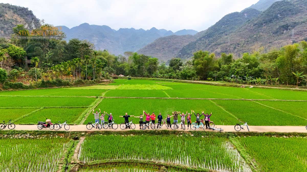 10-Day North Vietnam Cycling Adventure: From the Highland Tea Plantations of Moc Chau to the Limestone Karsts of Ha Long Bay